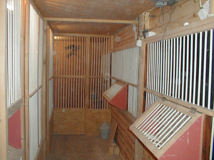 PB060019