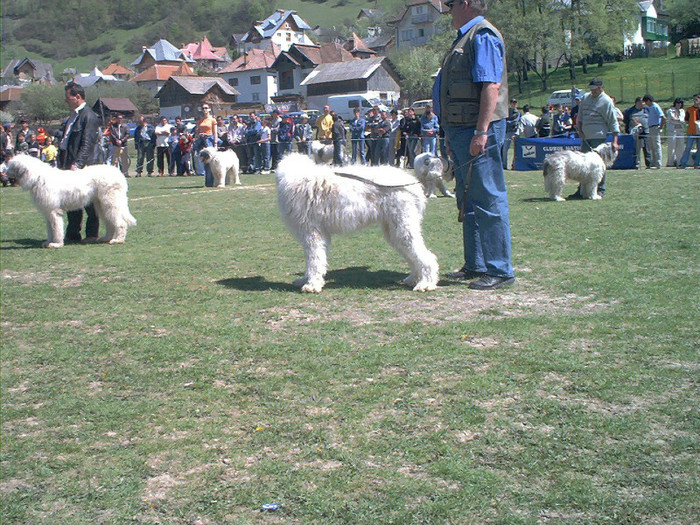 Rist de Romania RPJ Rucar 2004