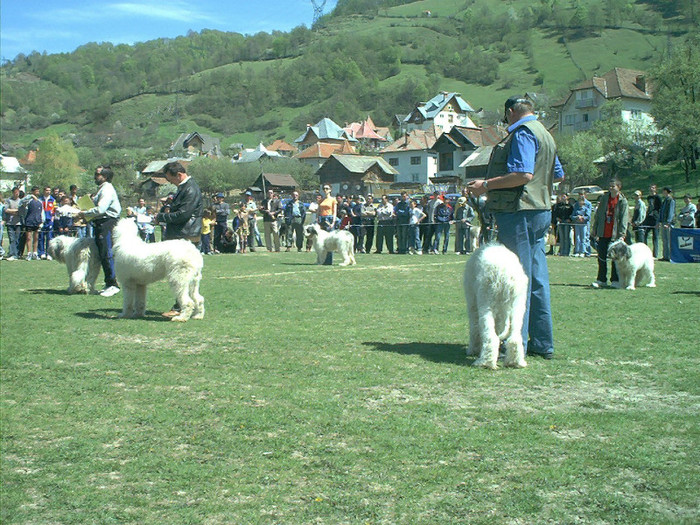 Rist de Romania RPJ Rucar 2004