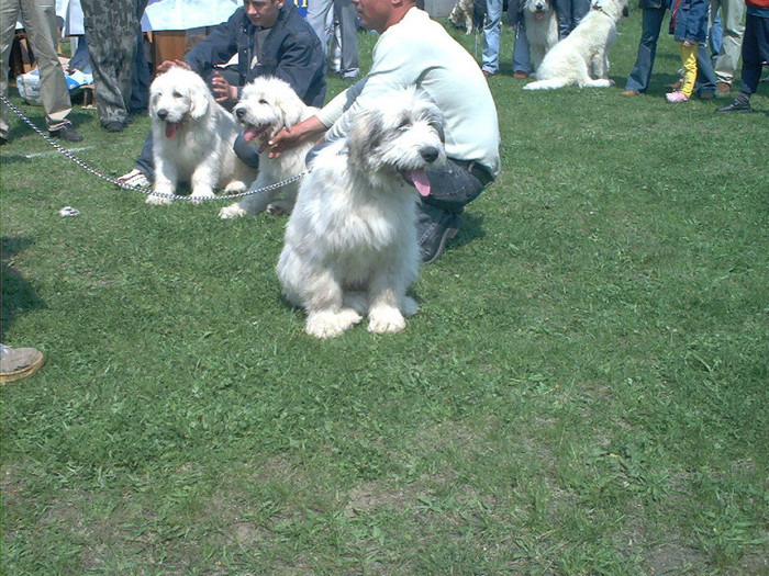 May22^24 - Iasi 2004