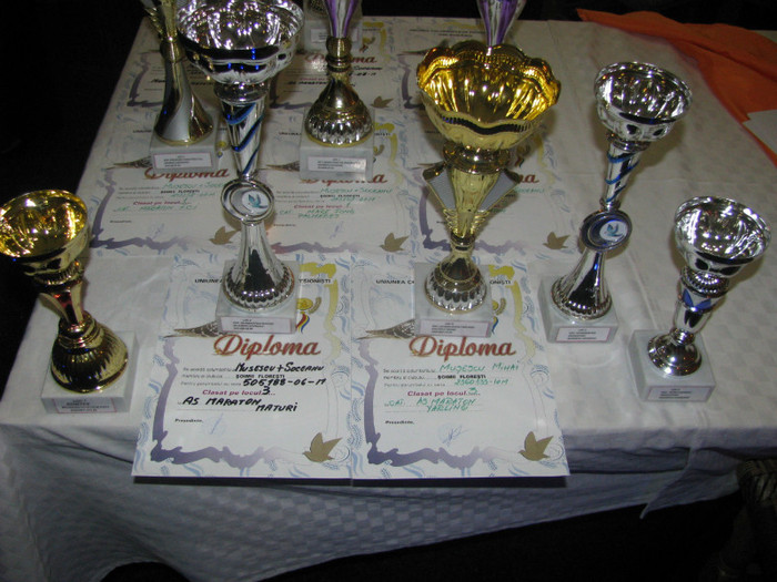 trofee; si o parte din diplome!
