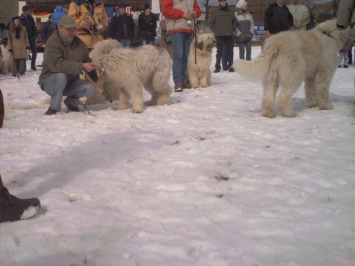 Mar-expo.BV-13017 - Brasov 2004