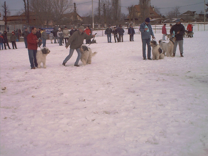 Mar.-expo.BV-13009 - Brasov 2004