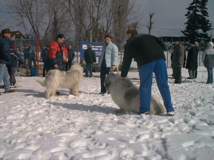 Mar-expo.BV-13007 - Brasov 2004