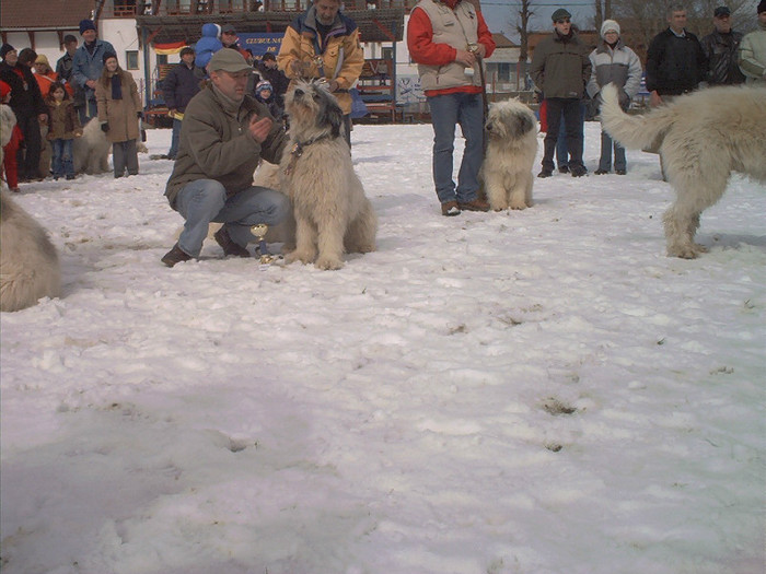 Mar-expo.BV.-13016 - Brasov 2004