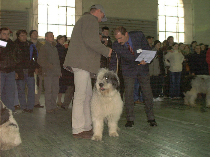 Expo Timisoara 2004 Mar28012