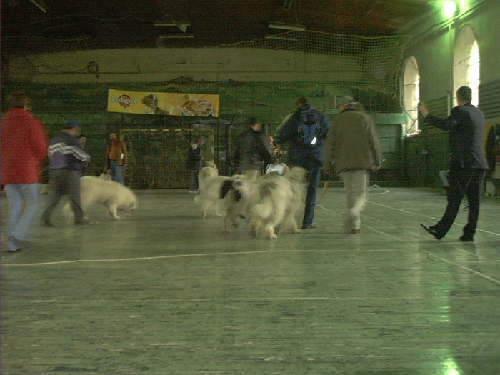 Expo Timisoara 2004 Mar28016