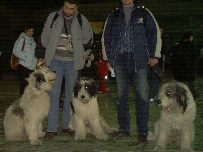 Expo Timisoara 2004 Mar28031