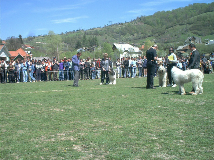 May03006 - Rucar 2004-OMOLOGAREA UCI