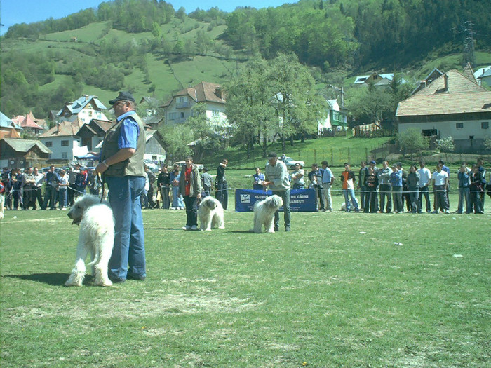 May03008 - Rucar 2004-OMOLOGAREA UCI