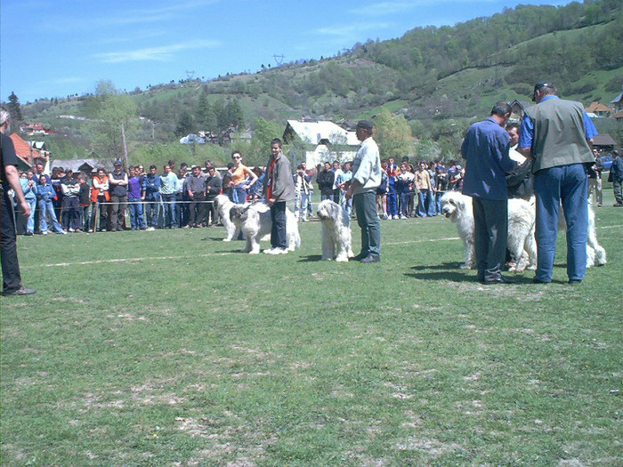 May03009 - Rucar 2004-OMOLOGAREA UCI