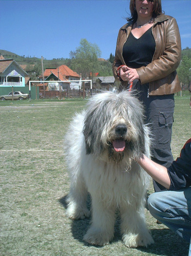 Samson de Romania May03011