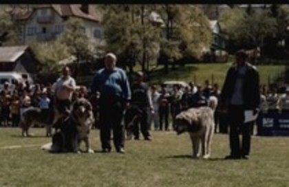 vadim de istratoiu si gales de simion rucar 2004