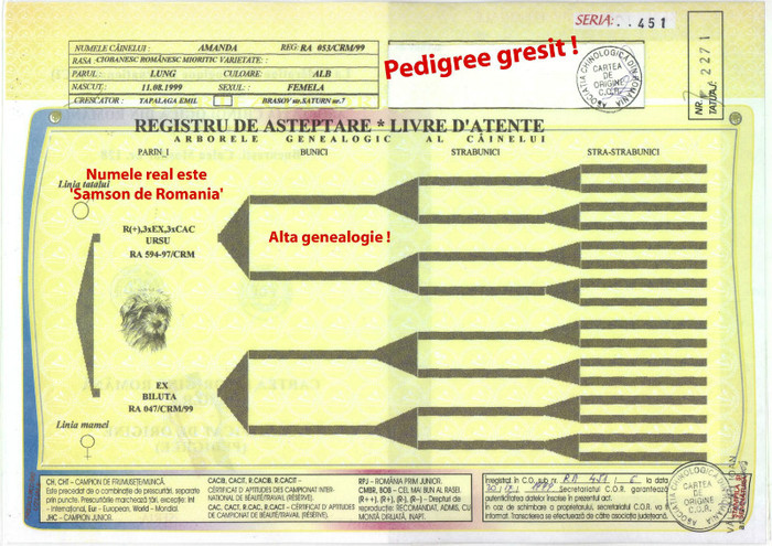 Amanda 1 _ Fals Rom - Pedigree false gresite incomplete