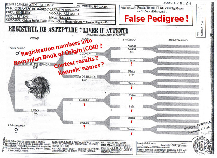 arin de humor fals pedigree - Pedigree false gresite incomplete