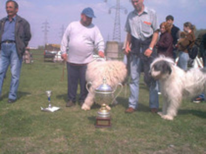 iasi 2004 BIS - Iasi 2004