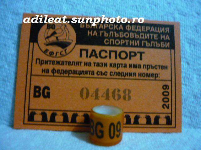 BULGARIA-2009 - BULGARIA-BG-ring collection