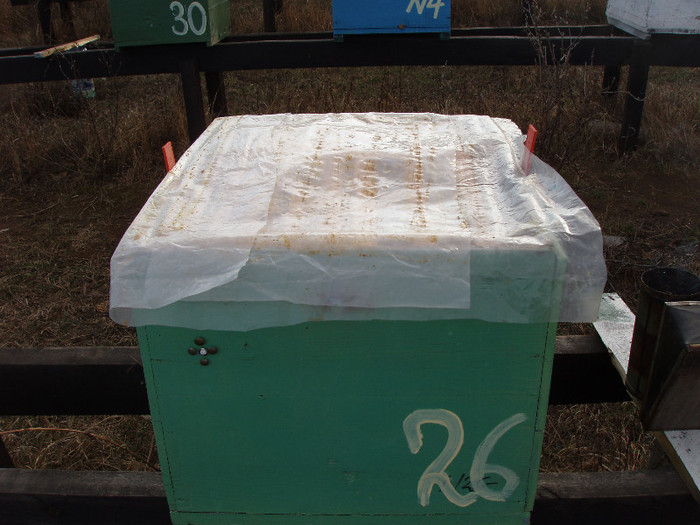 iernare  familie in cutie cu 10r; impachetare tip clopot  familie in cutie 10r
