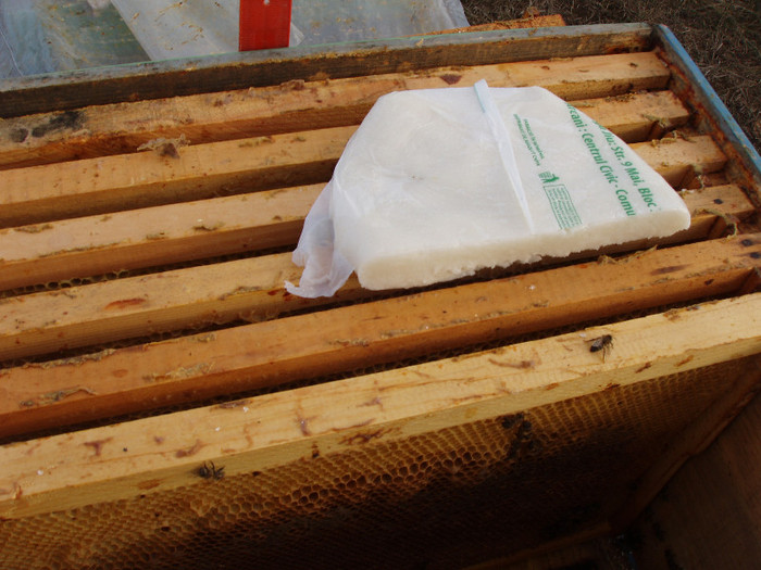 iernare roi in cutie 10r hrana 2; aplicare turta de zahar
