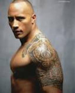 the rock