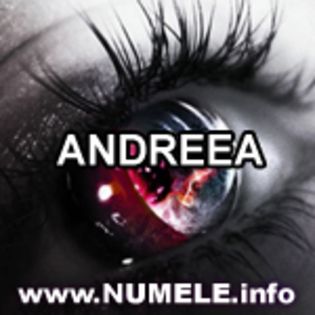 022-ANDREEA avatare cu nume pentru mess - numele meu