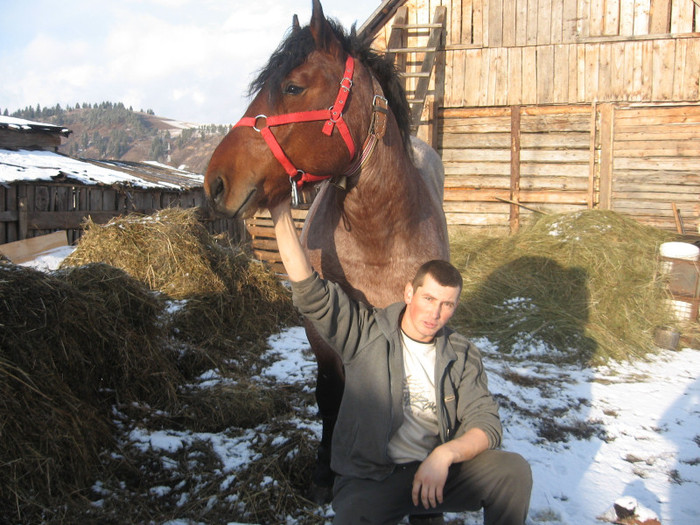 Florin si Puiu - Armasar-Iapa Deresi         13 01 2012