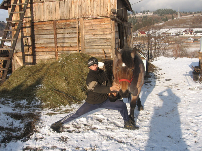 Liviu si Stela - Armasar-Iapa Deresi         13 01 2012