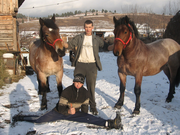 Frati cu caii - Armasar-Iapa Deresi         13 01 2012