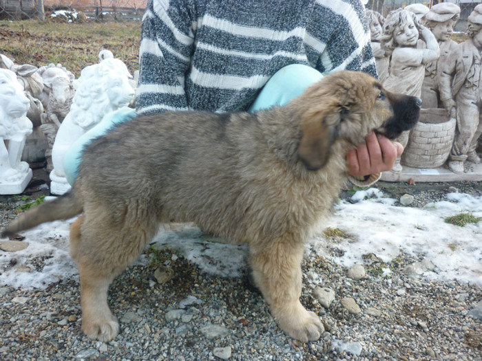 Barta