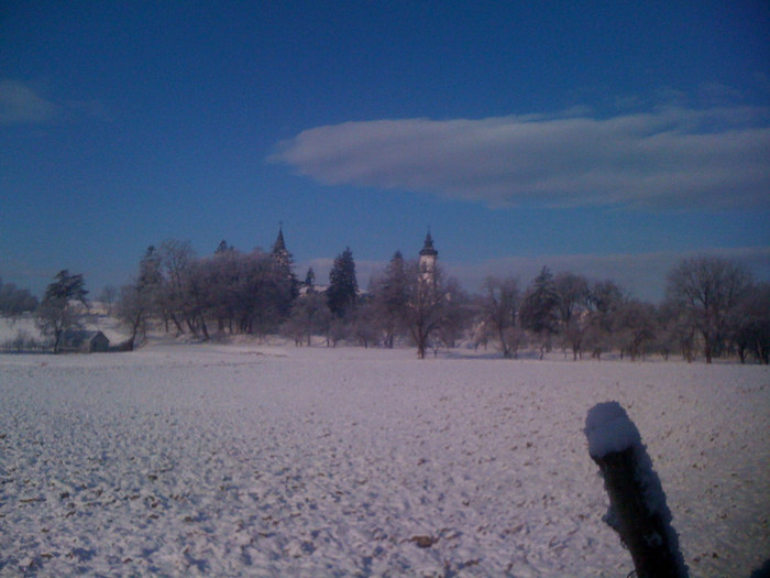 IMG_0286 - 0 Gradina la prima ninsoare adevarata 14 01 2012