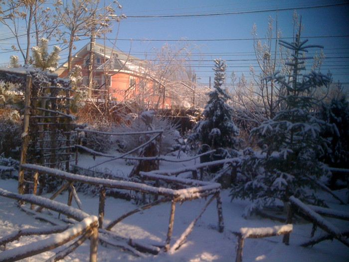 IMG_0287 - 0 Gradina la prima ninsoare adevarata 14 01 2012