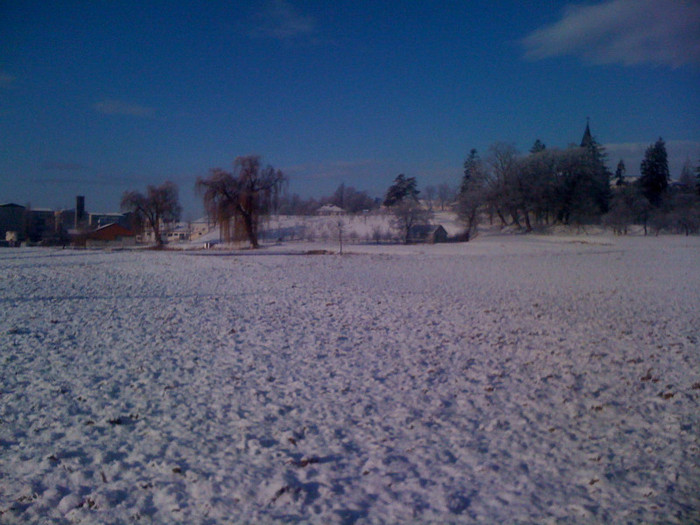 IMG_0296 - 0 Gradina la prima ninsoare adevarata 14 01 2012