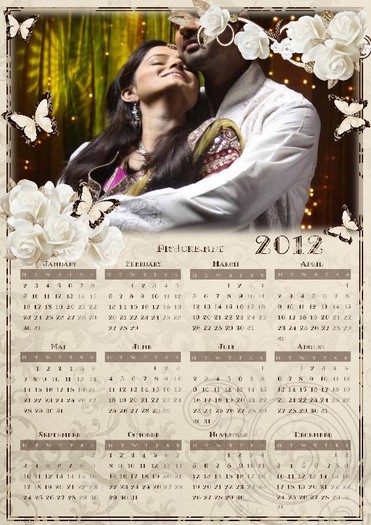 CALENDAR13 - CALENDARE CHHOTI BAHU