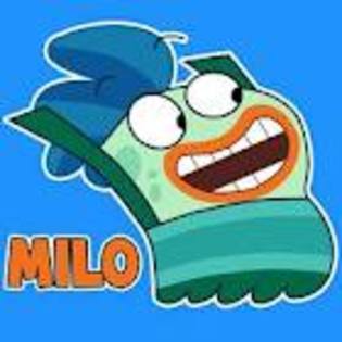 milo - Fish Hocks