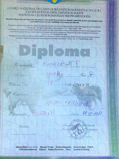 Concurs chinologic 2011