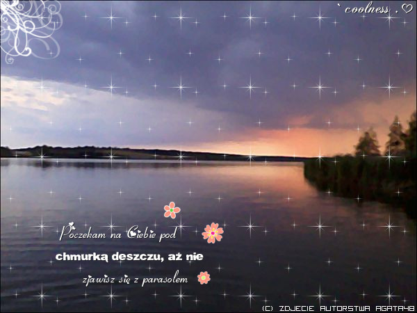 0097671201 - Poze artistice