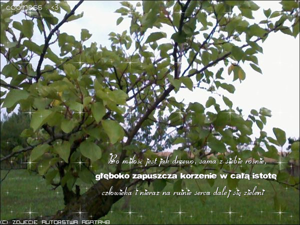 0098797575 - Poze artistice