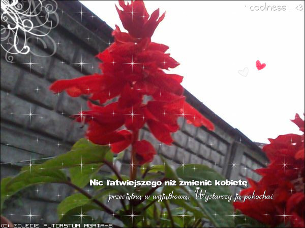 0099649405 - Poze artistice