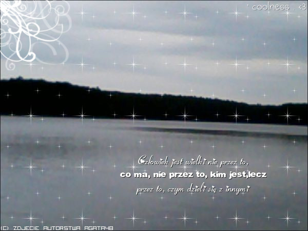 0099869635 - Poze artistice