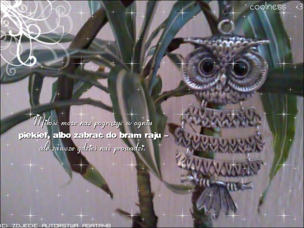0100831995 - Poze artistice