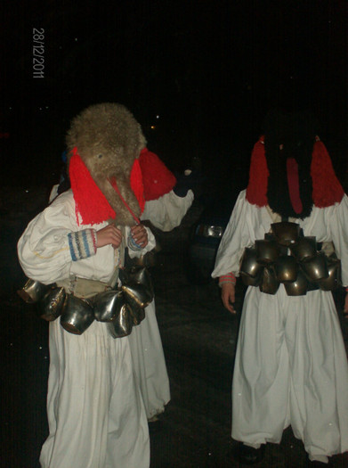 brondosi 2011 (28)