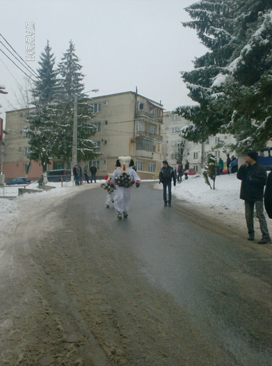 brondosi 2011 (30) - brondosi 2011