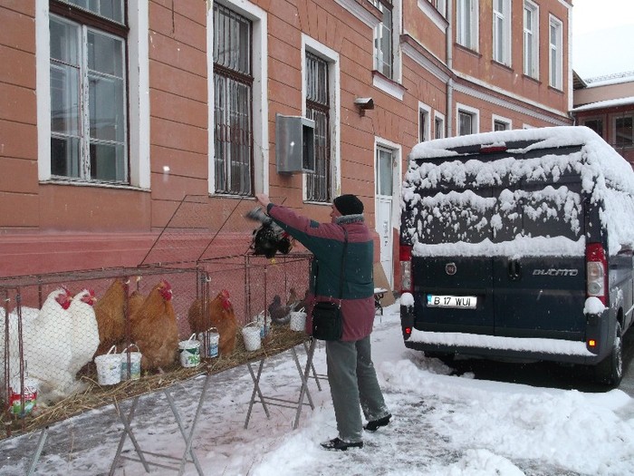 RECUPERAREA DEZERTORULUI