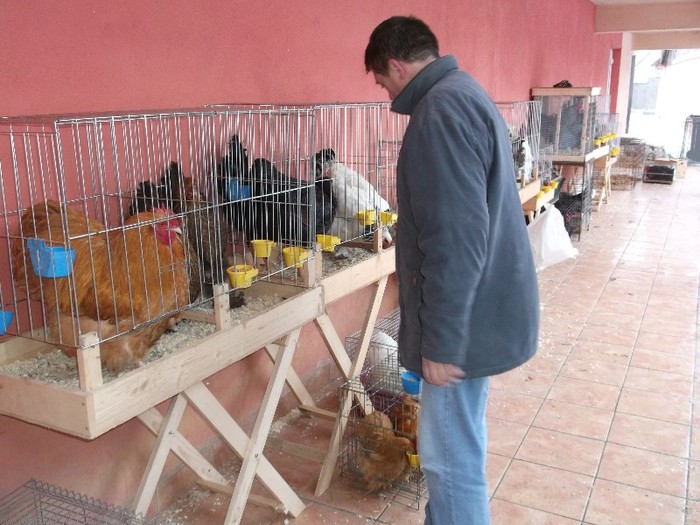 ASTEA IMI MAI LIPSESC LA DIVORT