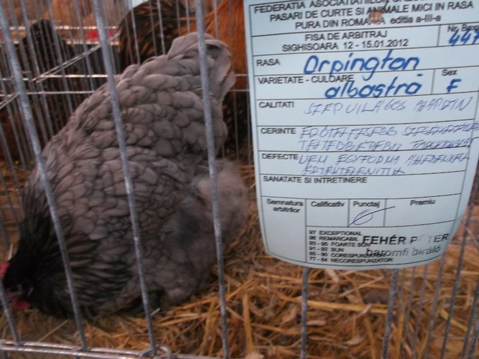 CONCLUZIA:ZERO PUNCTE ?????