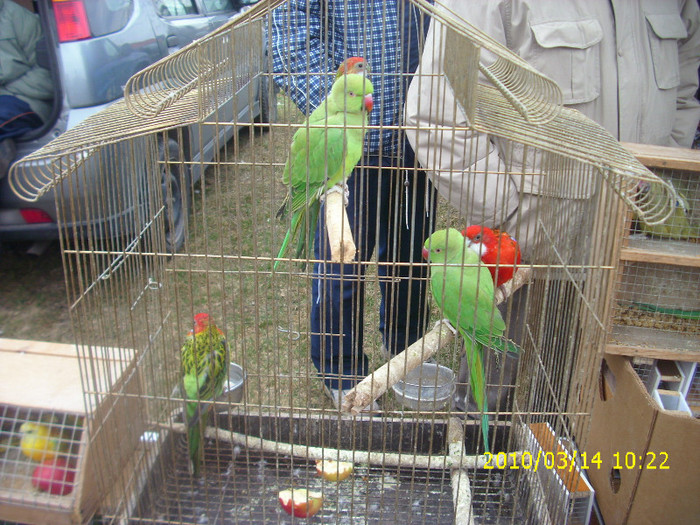 IMG_0192