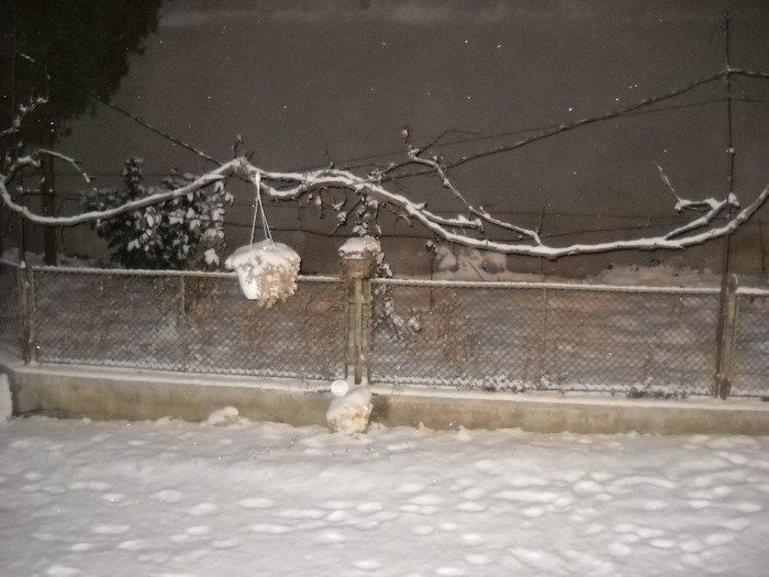 Iarna 14.ian.2012- seara