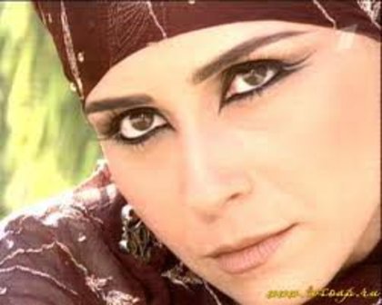 261663_222326724473748_222320034474417_668483_6970711_n