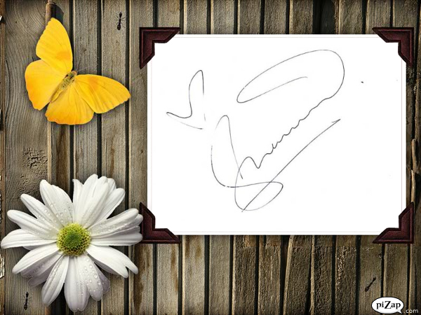 Shahid -autograf - Shahid -autograf