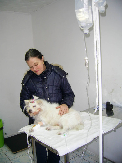 13 ian 2012-lucky la perfuzie... 003; 13 ian 2012 lucky la perfuzie -o noua sansa ...
